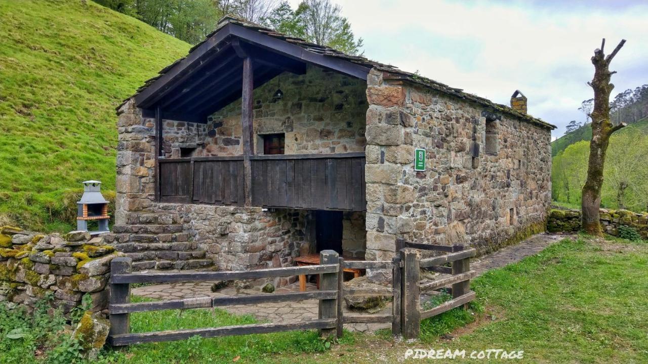 Selaya Pidream Cottage . Cabanas De Pisuena מראה חיצוני תמונה