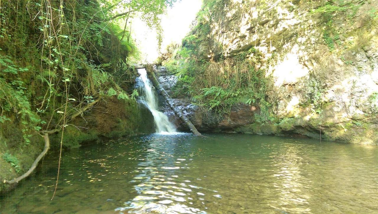 Selaya Pidream Cottage . Cabanas De Pisuena מראה חיצוני תמונה